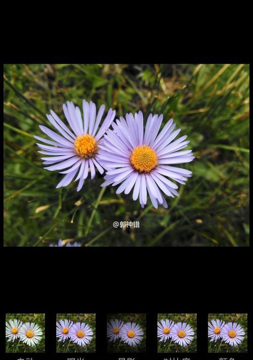 苹果手机拍照光晕问题如何解决？  第1张