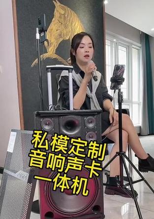 外放音箱怎么内录声音呢？内录功能的设置步骤是什么？  第2张