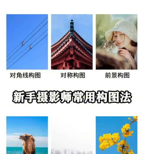 数码相机的构图技巧是什么？初学者如何快速掌握？  第2张