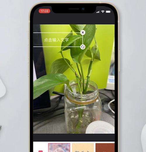 苹果手机如何保存贴画照片？  第1张