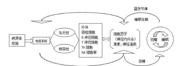 星际战甲磁力增强机制怎么用？增强机制的具体操作步骤是什么？  第3张