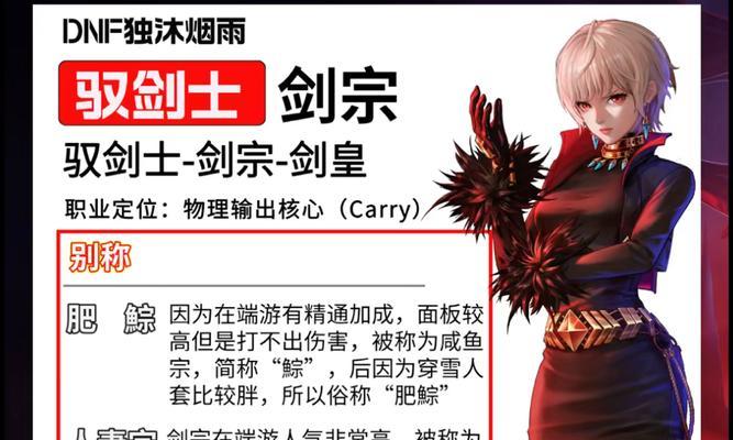 dnf剑宗装备选择有哪些？如何打造最佳装备搭配？  第3张
