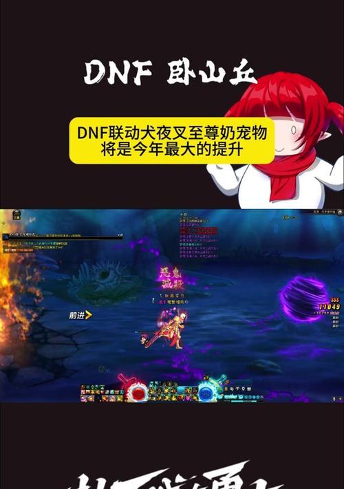 dnf用什么宠物好？宠物选择指南是什么？  第3张