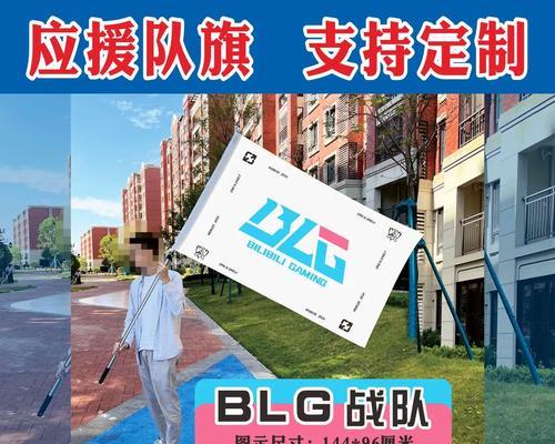 英雄联盟中的旗帜标志代表什么？如何获得？  第3张