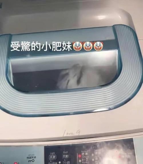 “姐姐卡洗衣机里”是什么梗？这个梗的来源和含义是什么？  第1张