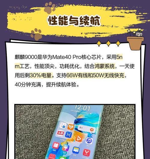 华为mate40pro怎么升级鸿蒙next？升级后有哪些新功能？  第2张