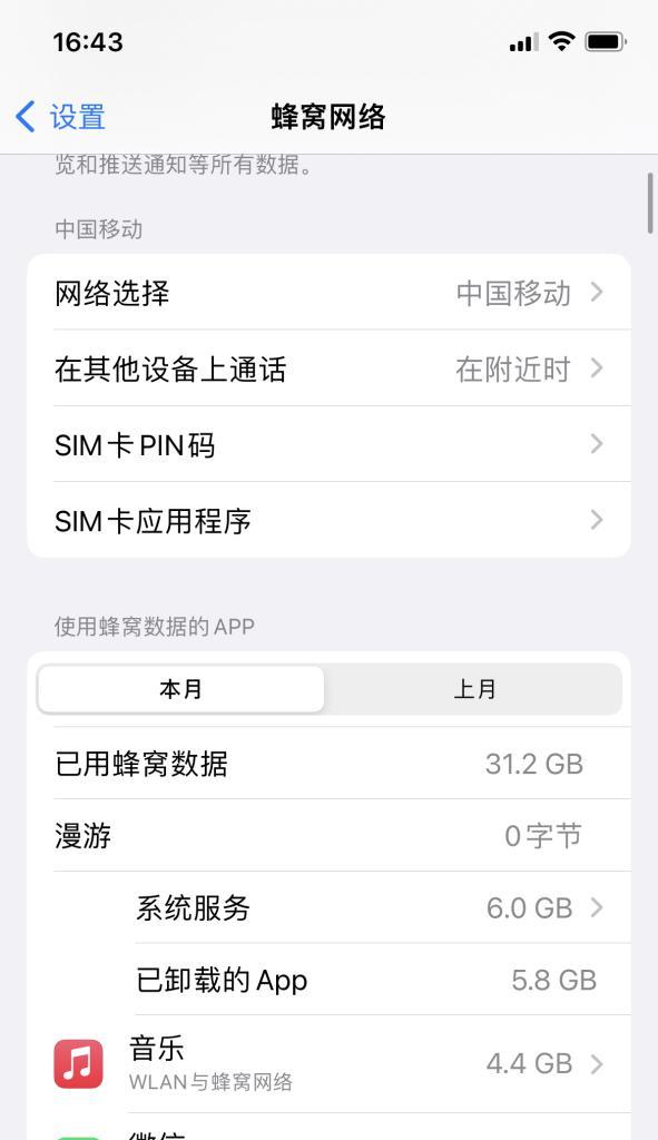 苹果手机为何缺少网络共享选项？  第2张