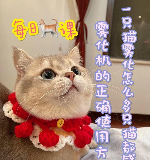 小米手机自动刷猫卡功能怎么开启？操作步骤是什么？  第1张
