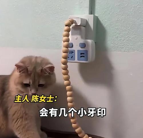 用数据线打猫合适吗？这样做有什么后果？  第3张
