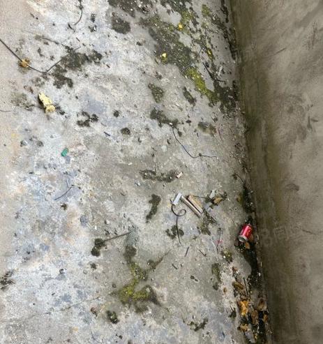 星海湾鹰潭电瓶车如何进入？进入方法是什么？  第3张