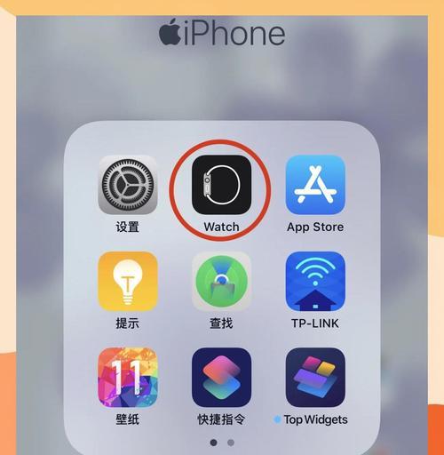 苹果手表故障时如何移除公交卡？有无替代方案？  第2张