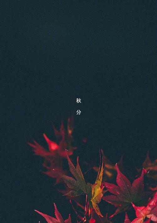 魅族21保存节日壁纸的方法？如何设置魅族21的壁纸？  第3张