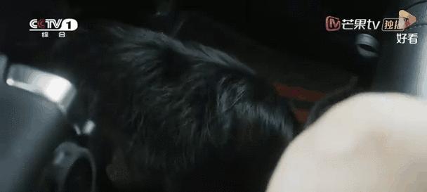 汽车为什么怕撒尿？撒尿对汽车有什么影响？  第1张