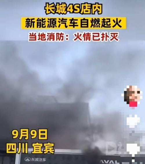 成都汽车自燃事件中涉及的品牌有哪些？  第2张