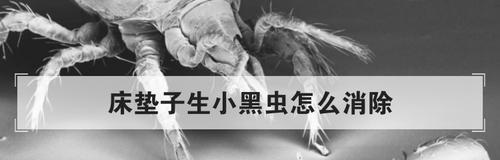 散热器上有虫子如何清理？预防措施有哪些？  第2张