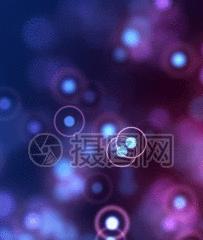 华为手机动态图拍摄技巧是什么？如何保存动态图？  第1张