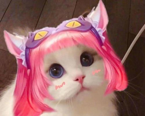 什么猫才是王者荣耀？哪个英雄最符合猫的特性？  第1张
