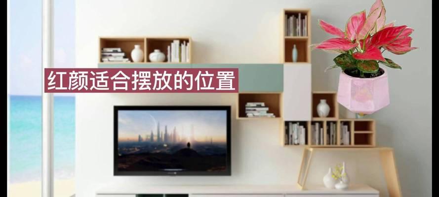 电视旁适合放置哪些家具？有哪些摆放建议？  第3张
