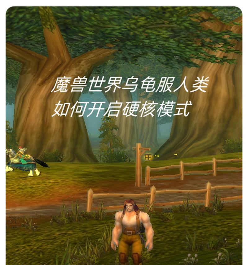 魔兽世界乌龟服副本打法指南？  第1张