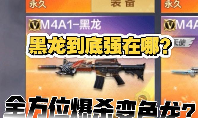 CF黑龙和黑骑士，哪个更适合你（CF黑龙与黑骑士的功能比较）  第1张