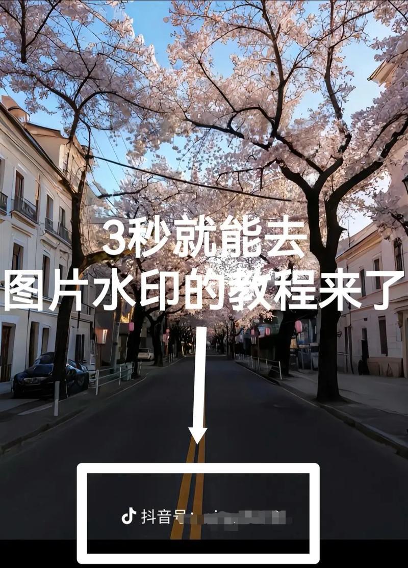 教你去除水印，恢复原图的方法（让烦人的水印消失不再影响美观）  第1张