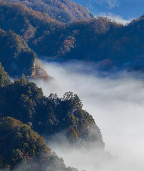 苹果手机在雾天如何拍出清晰照片？有哪些技巧？  第1张