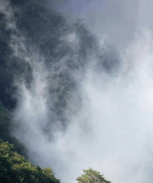 苹果手机在雾天如何拍出清晰照片？有哪些技巧？  第2张