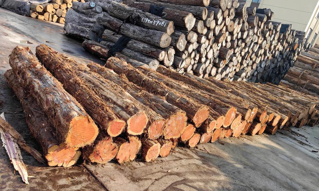 红心柏木家具的优缺点（打造品质生活的选择）  第1张